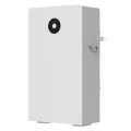 [RW-F16] Deye 51.2V/315AH/16KWH Wall Mounted